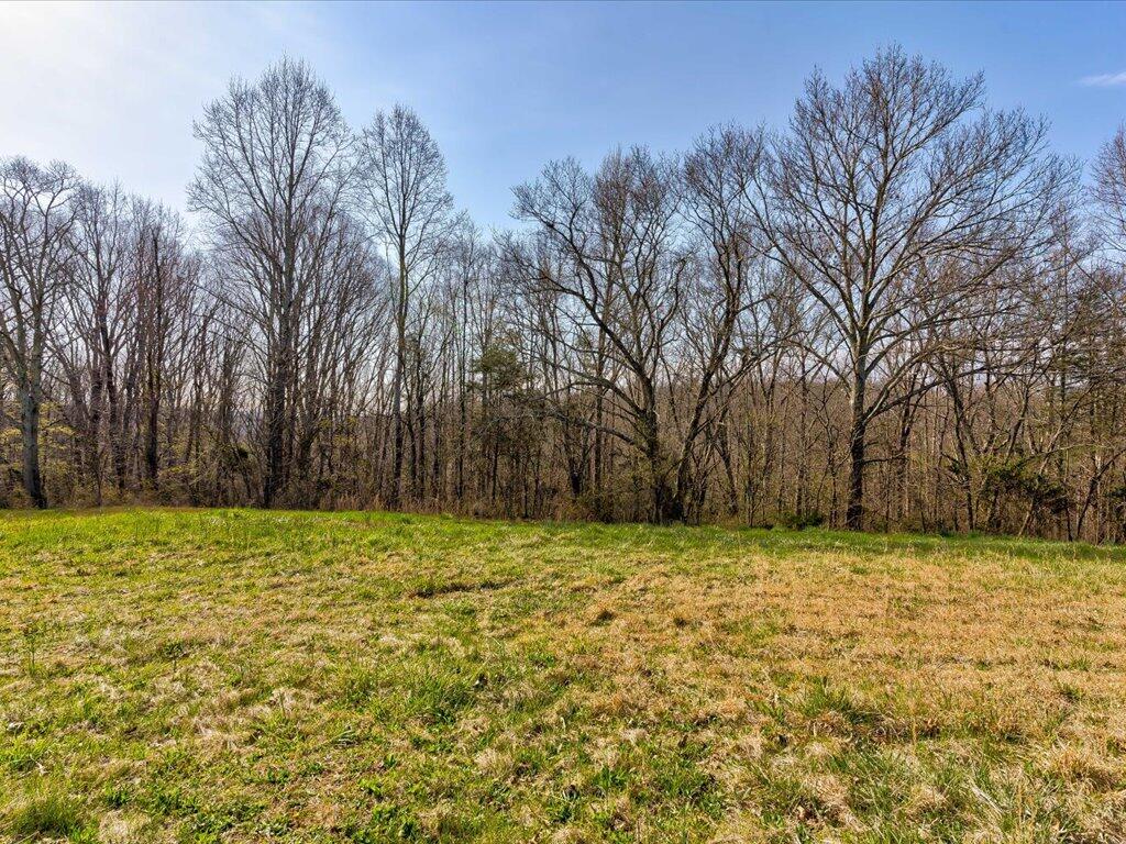 2 Wilson Road, Unit 2 Speedwell, TN 37870 - Photo 1 of 28 Tract 2 Wilson Road - 1