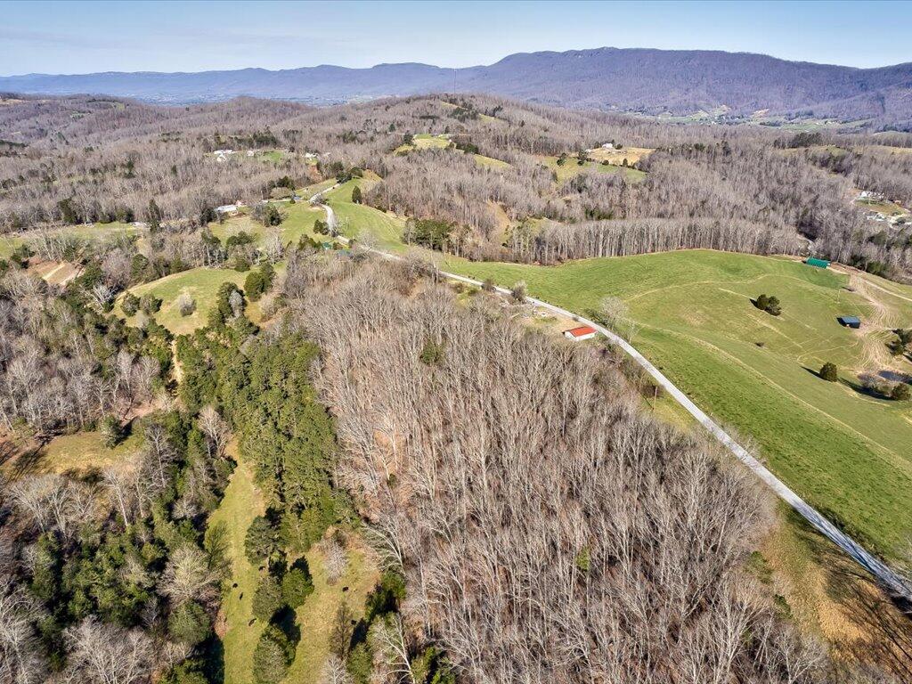 2 Wilson Road, Unit 2 Speedwell, TN 37870 - Photo 20 of 28 Tract 2 Wilson Road - 20
