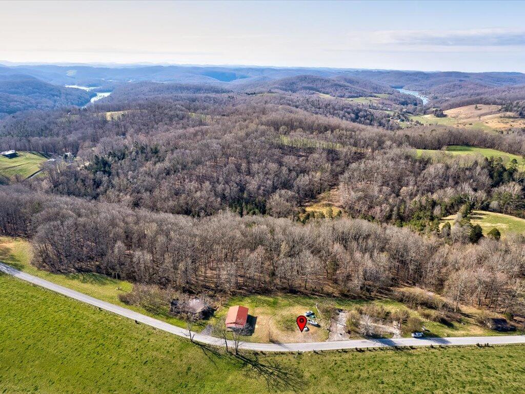 2 Wilson Road, Unit 2 Speedwell, TN 37870 - Photo 4 of 28 Tract 2 Wilson Road - 4