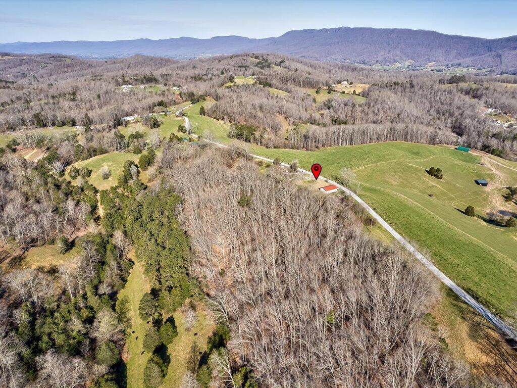 2 Wilson Road, Unit 2 Speedwell, TN 37870 - Photo 7 of 28 Tract 2 Wilson Road - 7