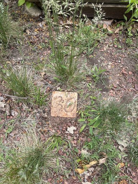 S102W34652 Lower Clarks Park Road Eagle, WI 53119 - Photo 24 of 29 IMG_8476