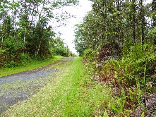 168 Kailua Road Pahoa, HI 96778 - Photo 3 of 14 Gallery Image 3