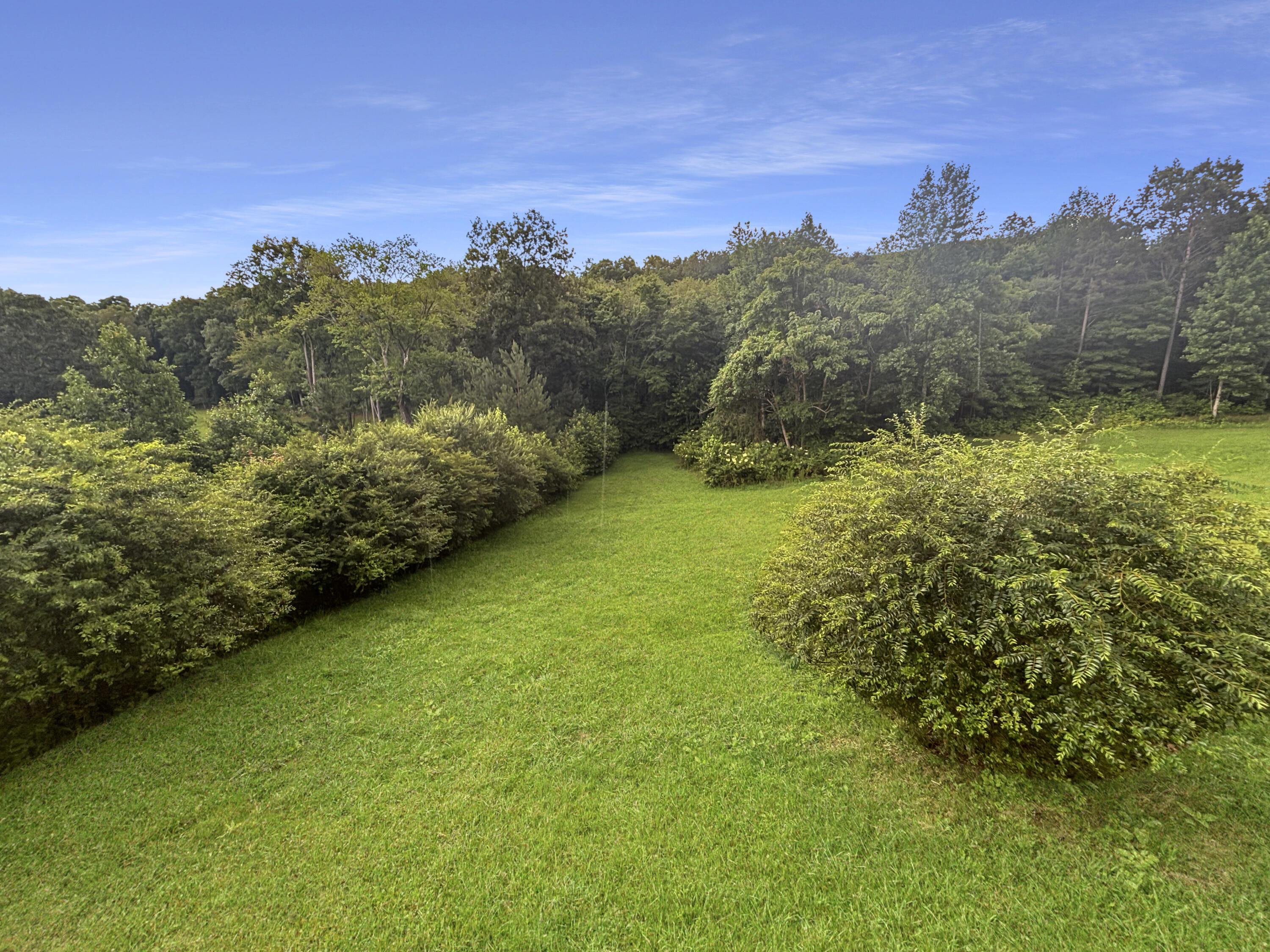 11320 Melanie Lane Georgetown, TN 37336 - Photo 23 of 23 IMG_3517
