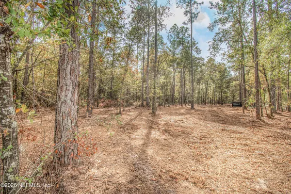 a view of yard with trees