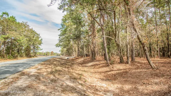 a view of empty space with trees