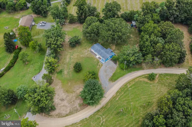 a view of a bunch of trees and bushes