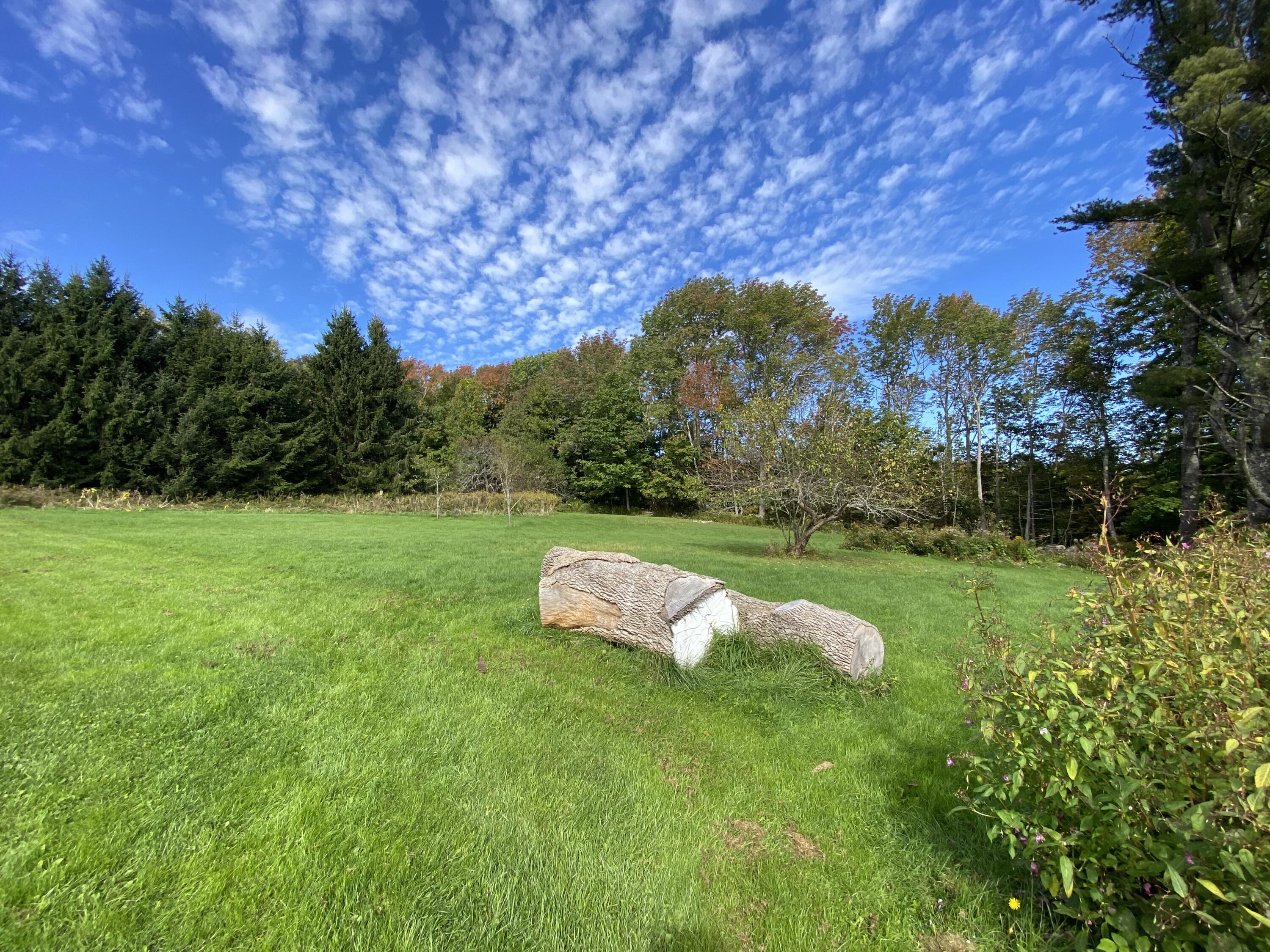 420 Belfast Road Camden, ME 04843 - Photo 74 of 85 IMG_0051