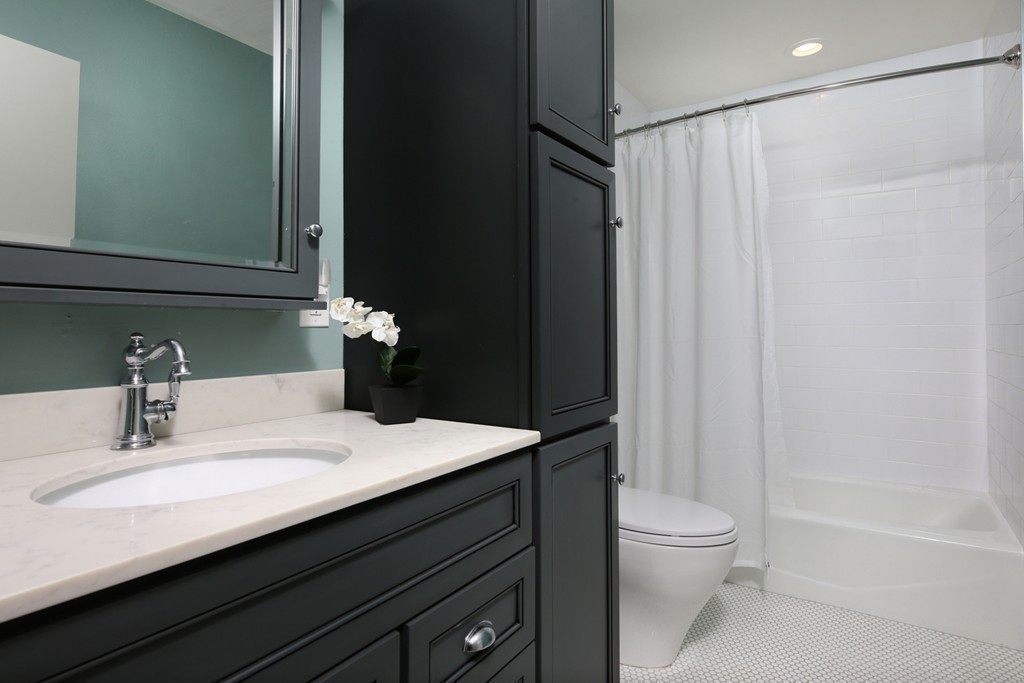 69 Rutland Street, Unit 1 Boston, MA 02118 - Photo 9 of 15 Gallery Image 9
