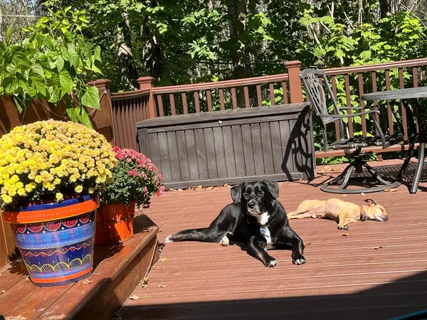 $545,000 | 2223 Leonard Street, Duluth, MN 55811