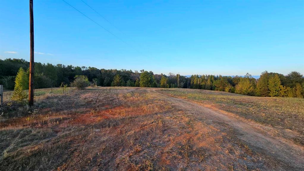 2162 County Road 174 Overton, TX 75684 - Photo 20 of 34 a view of a field with trees in background