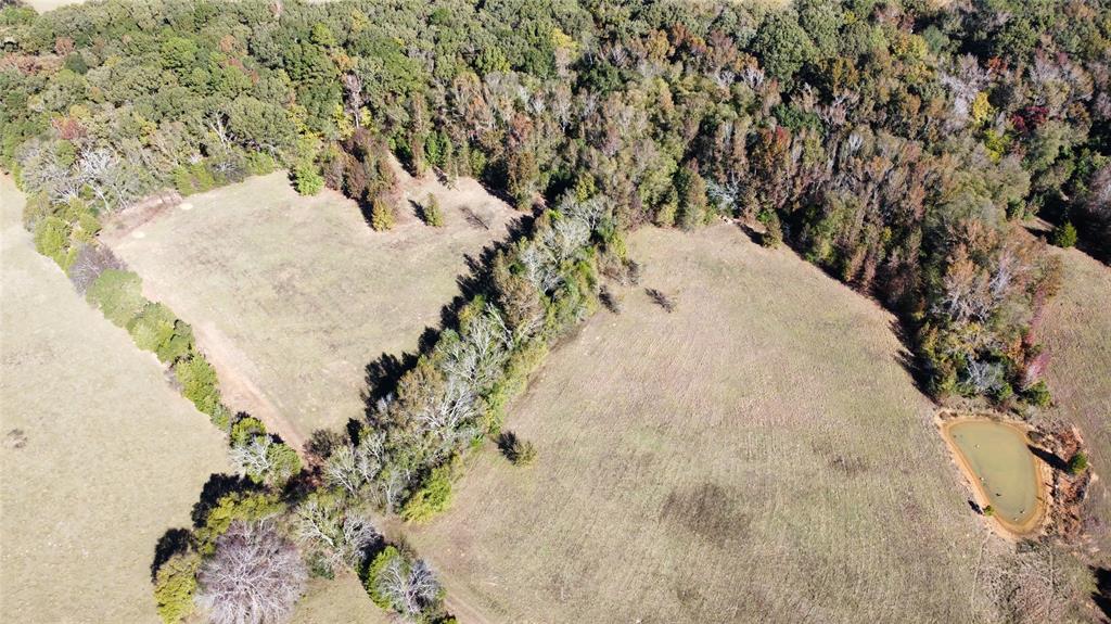 2162 County Road 174 Overton, TX 75684 - Photo 4 of 34 a view of a dry yard with trees
