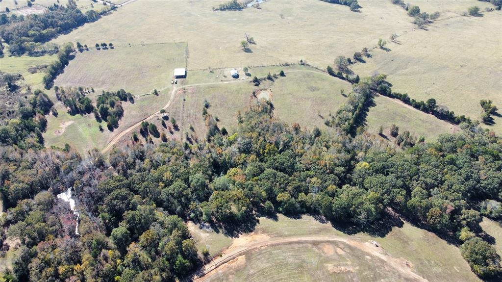 2162 County Road 174 Overton, TX 75684 - Photo 7 of 34 a view of a city