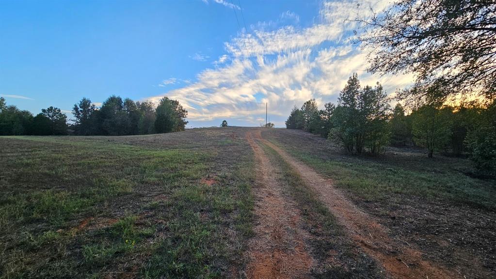 2162 County Road 174 Overton, TX 75684 - Photo 10 of 34 a view of a big yard with trees