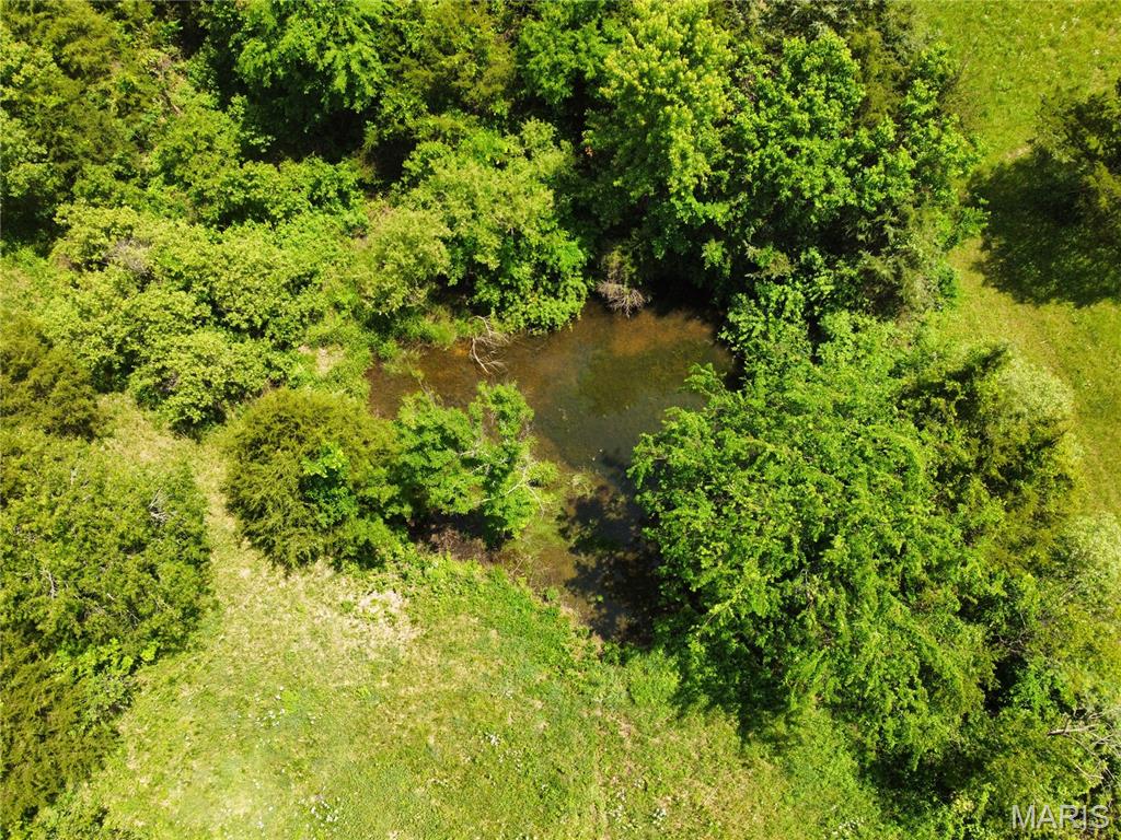 10375 Cedar Lane Dixon, MO 65459 - Photo 86 of 88