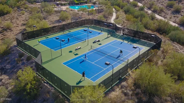 an aerial view of a tennis ground with large trees