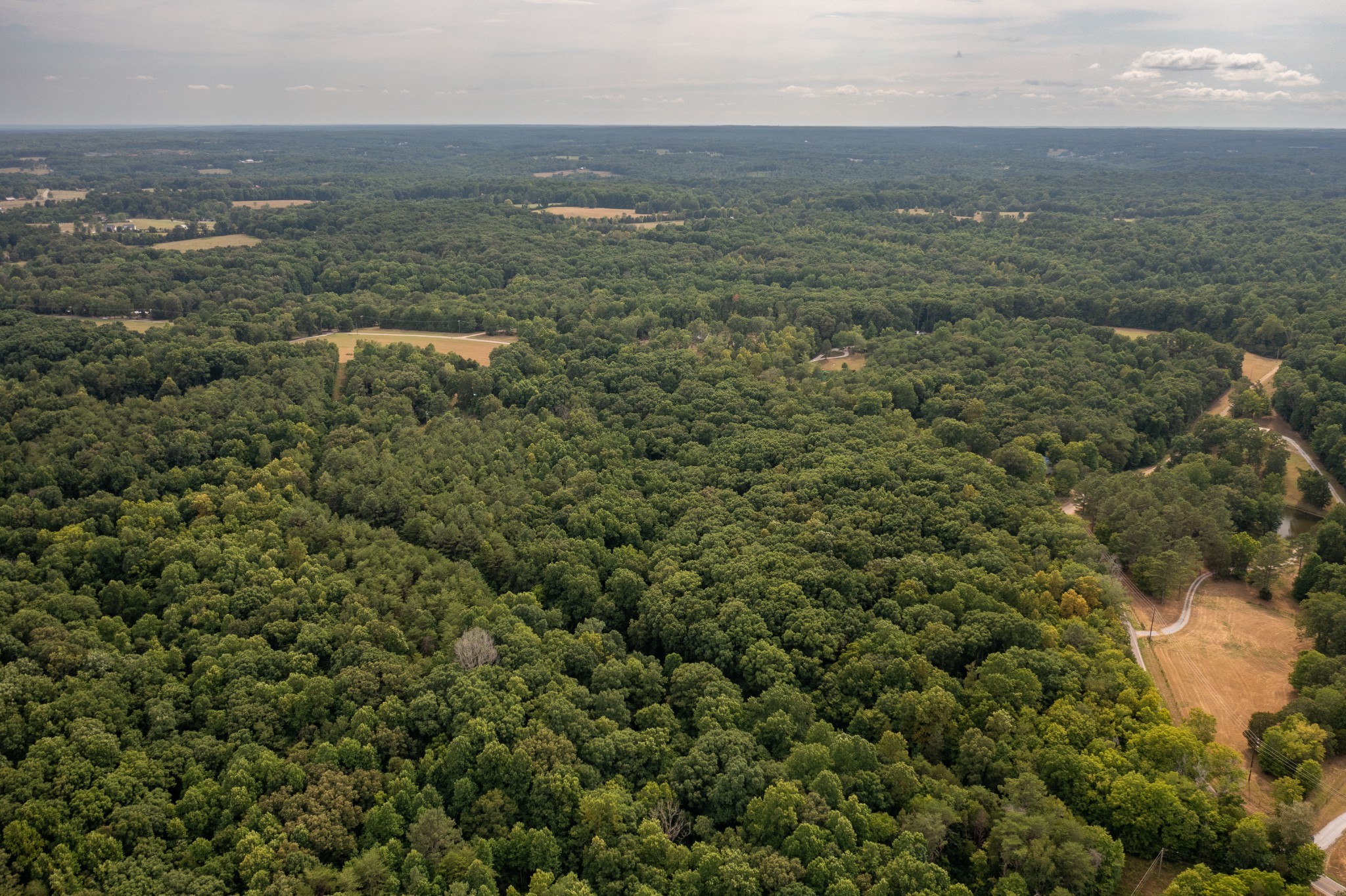 0 Crow Cut Road Northwest Fairview, TN 37062 - Photo 13 of 16 a view of city and green space