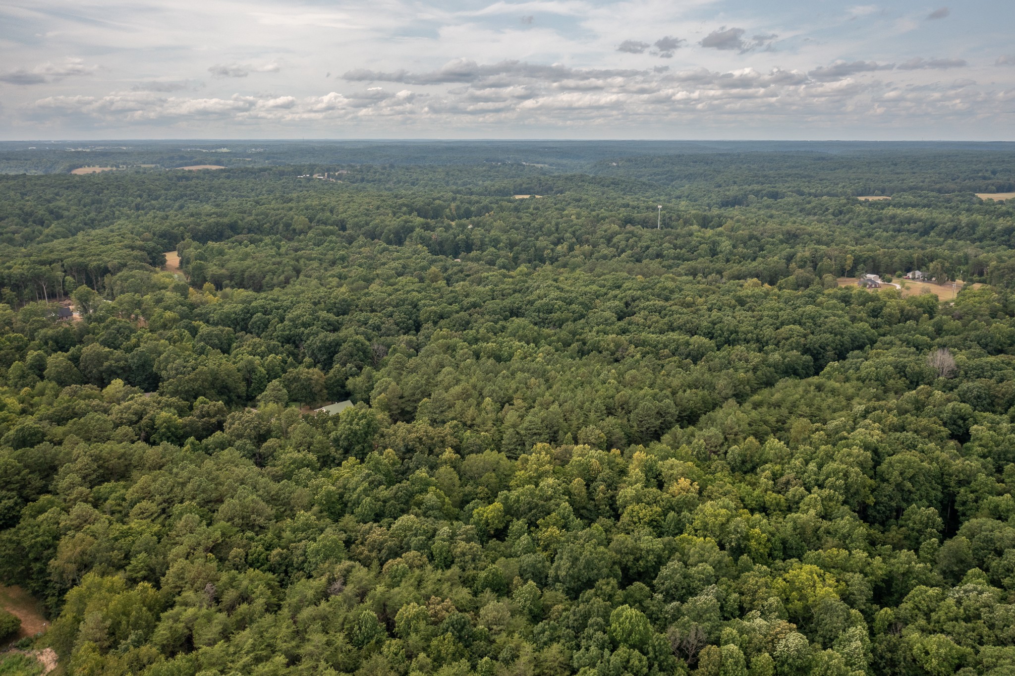 0 Crow Cut Road Northwest Fairview, TN 37062 - Photo 15 of 16 a view of a field with an ocean