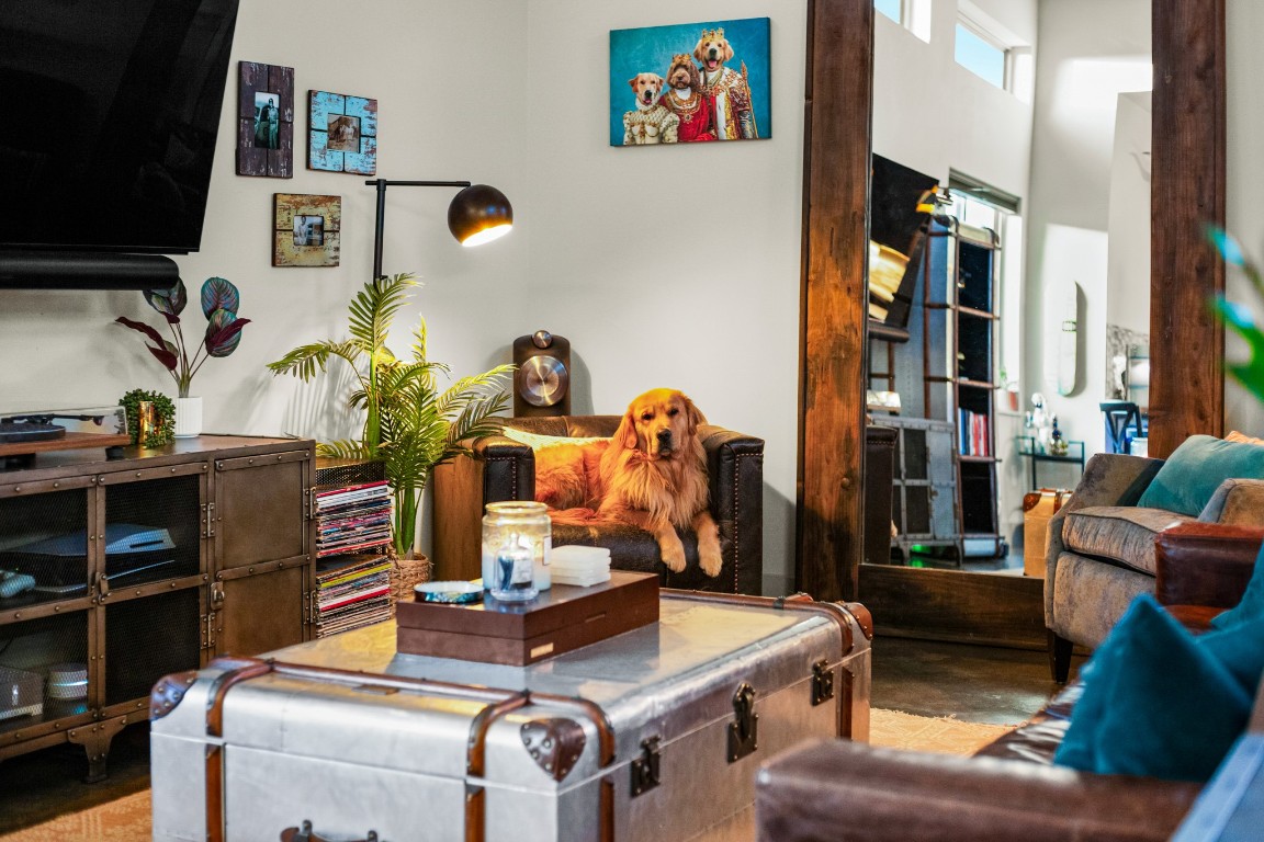 3005 East Martin Luther King Jr Boulevard Austin, TX 78702 - Photo 5 of 39 a view of living room with furniture and a book shelf