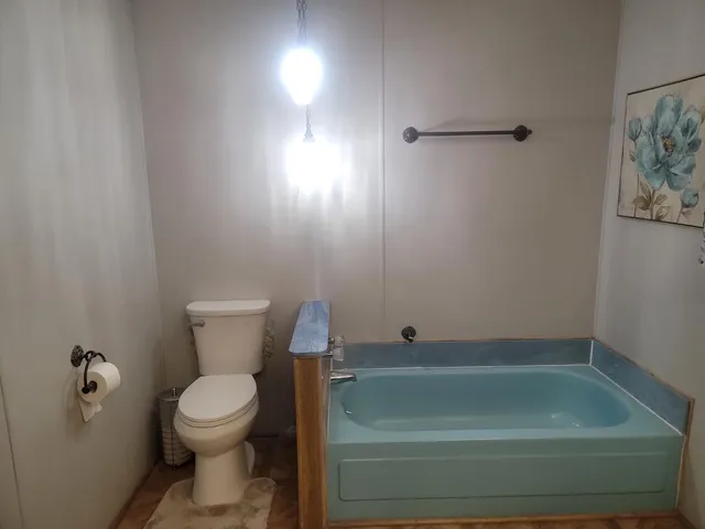 a bathroom with a toilet and a bathtub