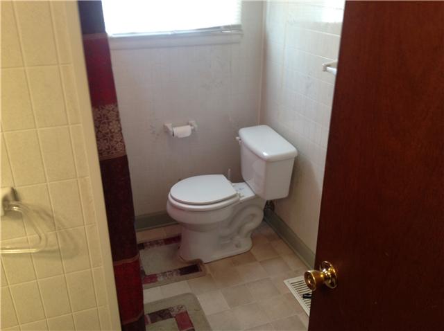 1202 Randy Road Ashland City, TN 37015 - Photo 12 of 19 Hall bath with combo shower/tub and line closet behind door.
