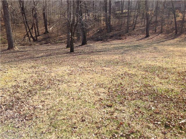 1202 Randy Road Ashland City, TN 37015 - Photo 18 of 19 Slightly wooded area behind house with fenced back yard.