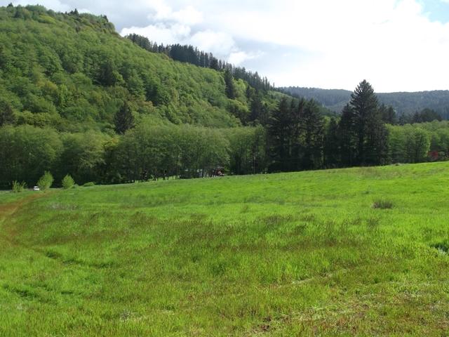 Tl#101 East Beaver Creek Road Beaver, OR 97112 - Photo 1 of 13 Wilks101