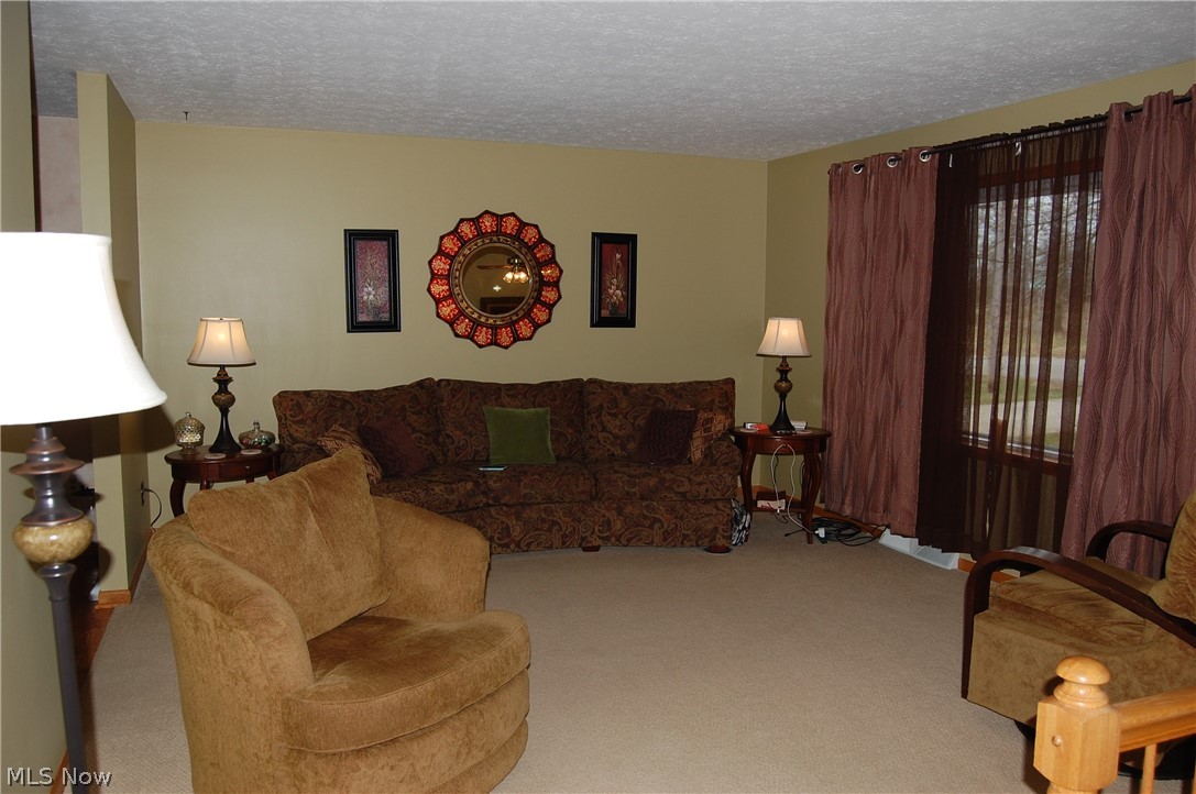 12131 Whitman Road Doylestown, OH 44230 - Photo 2 of 16 Gallery Image 2