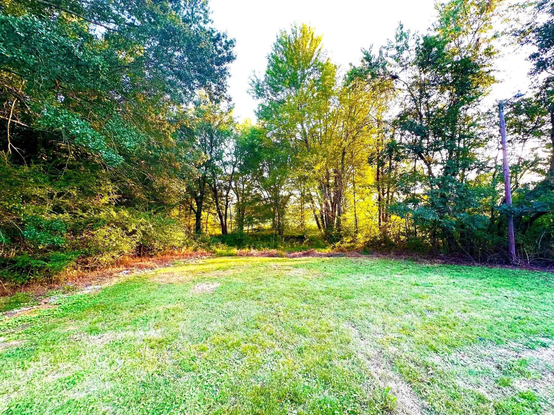 2003 Bond Ferry Road Brownsville, TN 38012 - Photo 11 of 21 View of grassy yard
