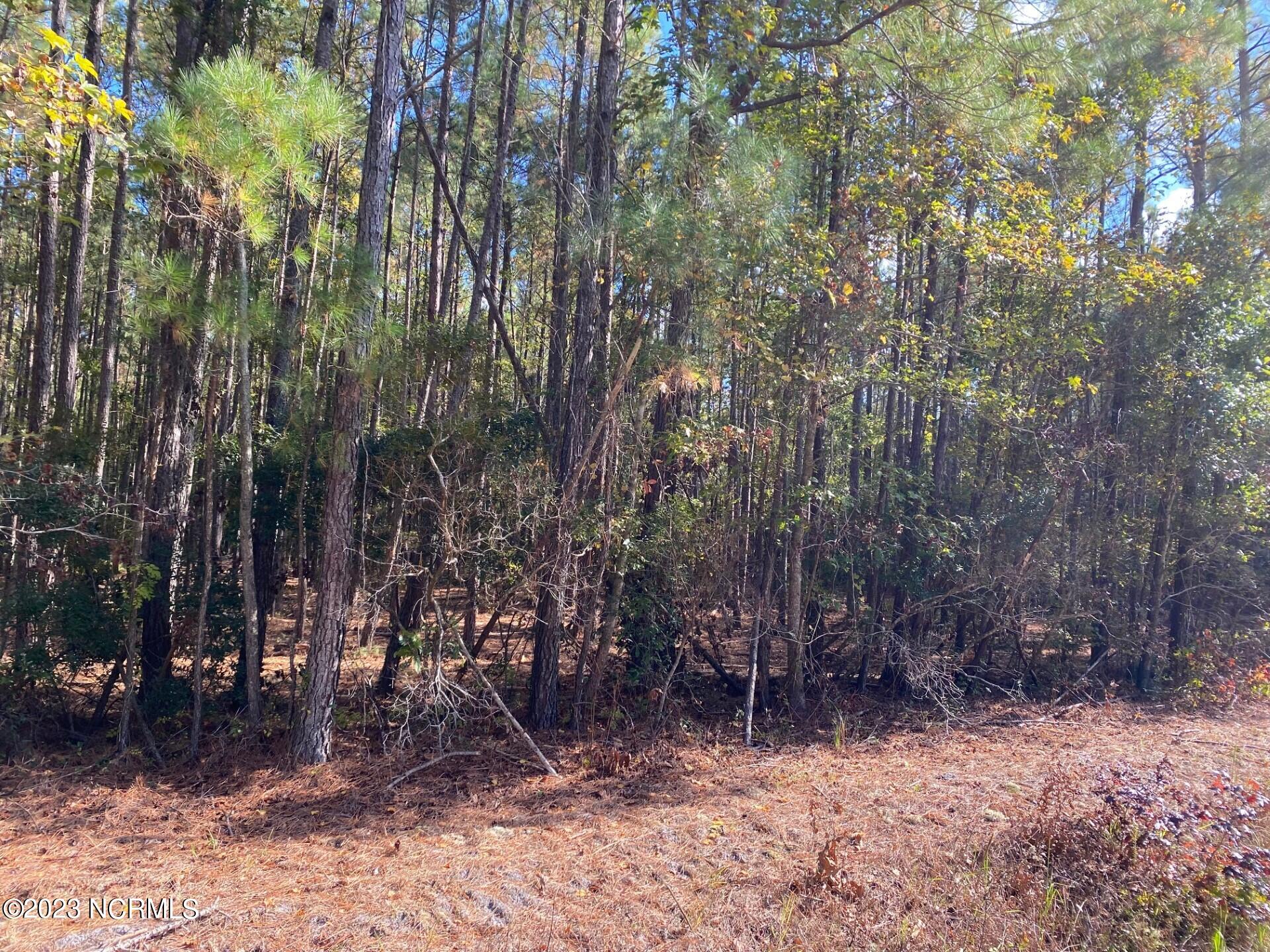 1 Highsmith Road Rocky Point, NC 28457 - Photo 18 of 19 Highsmith Rd Furr 19