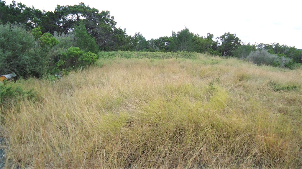 229 Pinon Loop East Camp Wood, TX 78833 - Photo 19 of 24