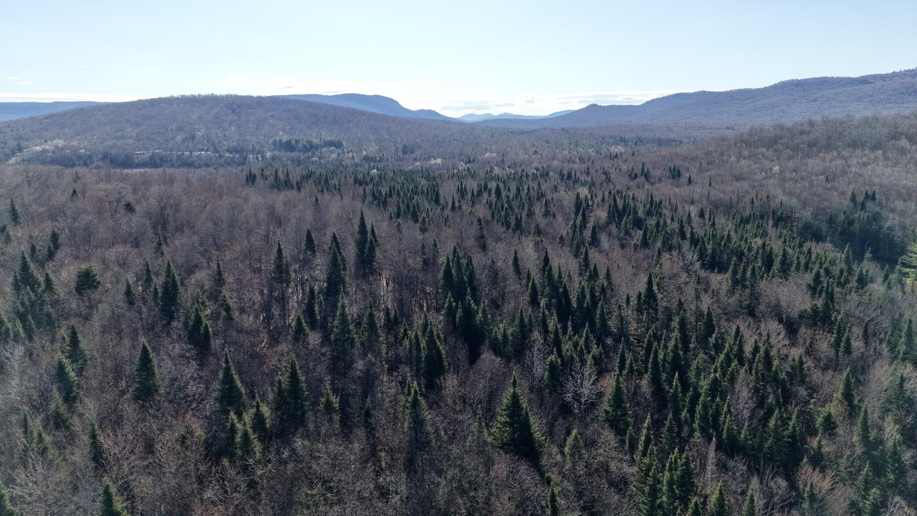 37 Trombley Road Malone, NY 12953 - Photo 31 of 34 dji_fly_20260423_083902_0182_17769486849