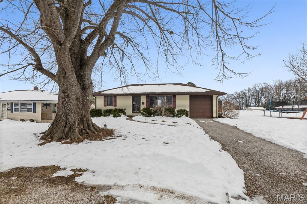 610 South Ridge Avenue Steeleville, IL 62288 - Photo 4 of 27