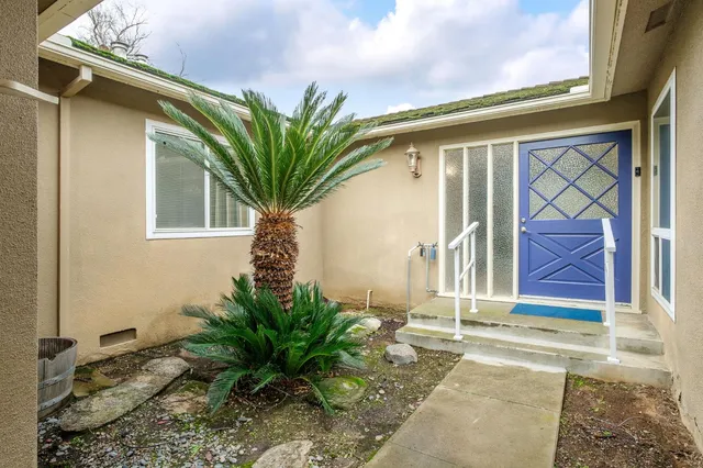 a house with a potted plant in front of door