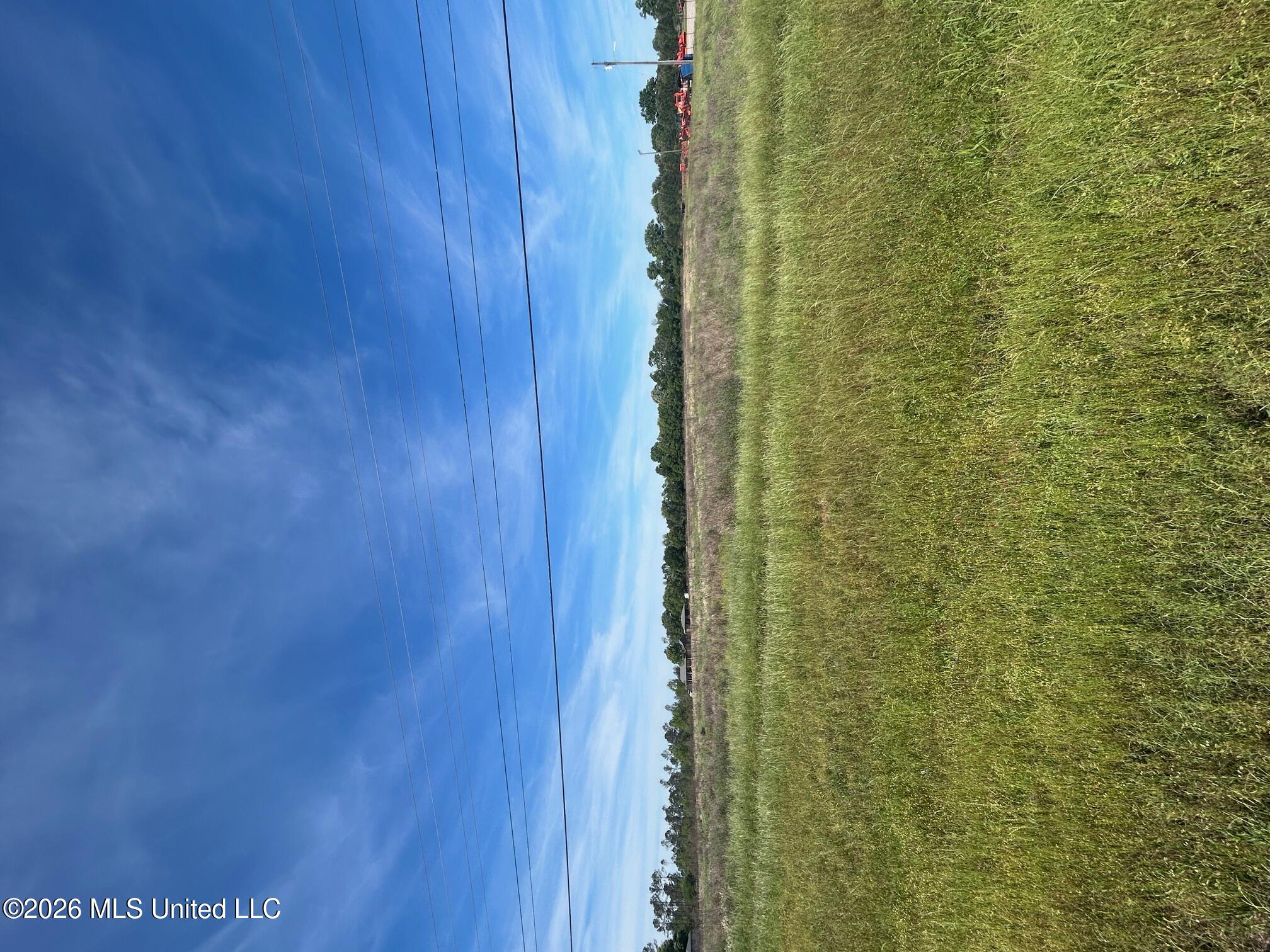 10 Ac Highway Lucedale, MS 39452 - Photo 2 of 6 View from Hwy 63