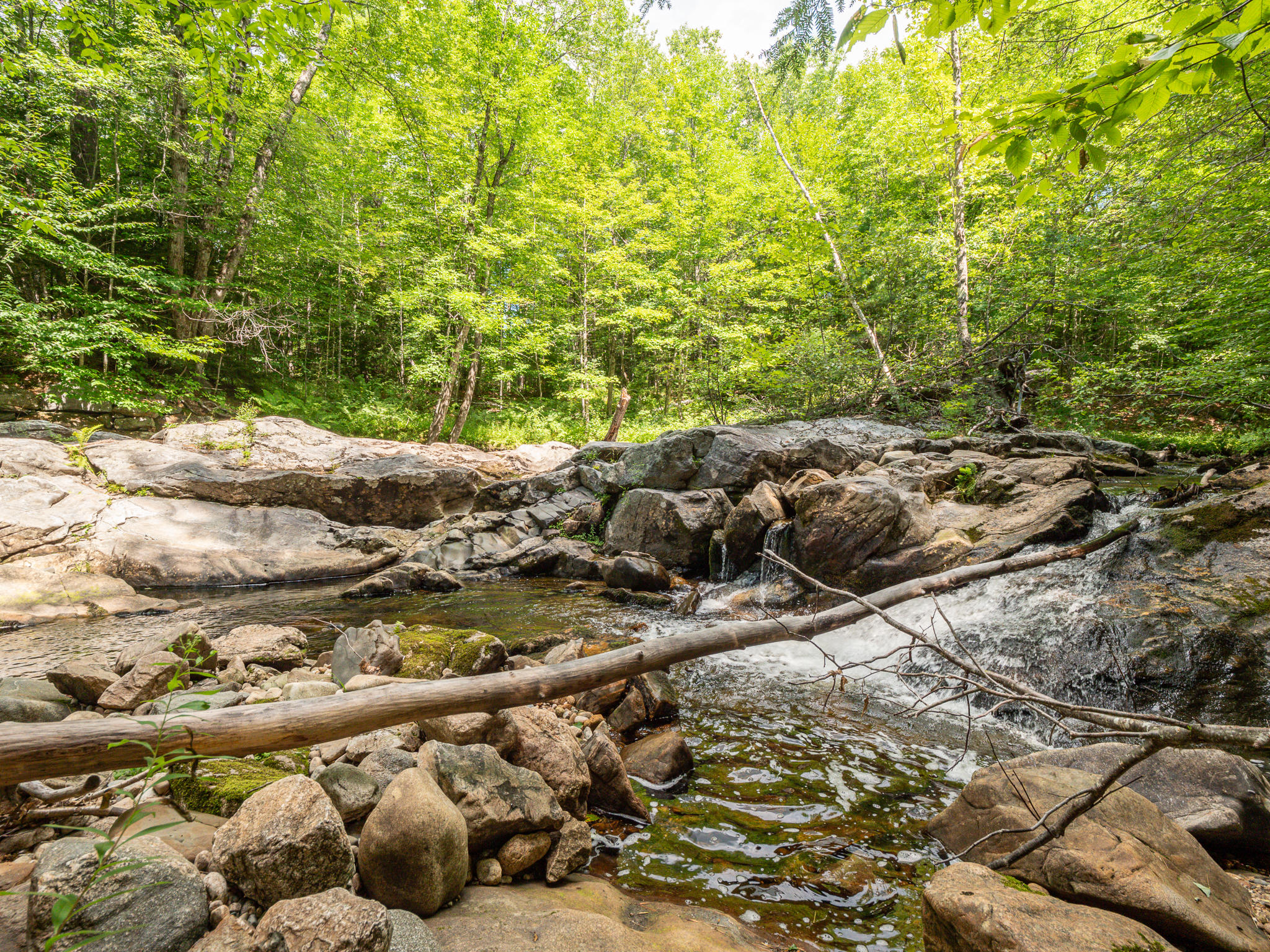 85 Hut Road Stoneham, ME 04231 - Photo 10 of 36 apbrook1