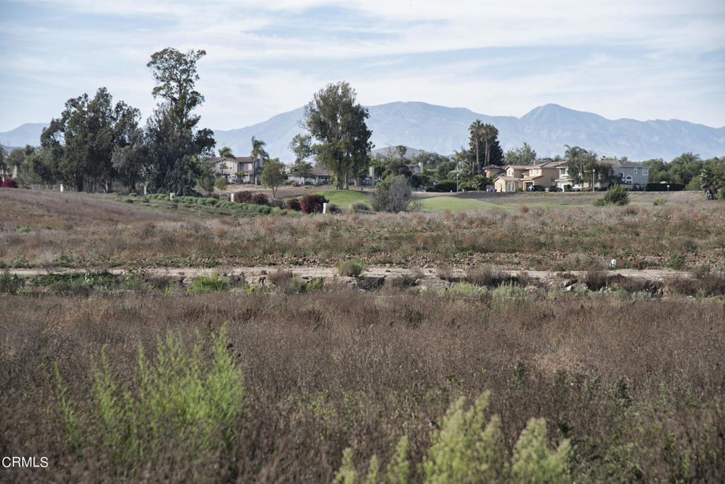 5624 Beardsley Road Camarillo, CA 93010 - Photo 12 of 27 DSC_8610