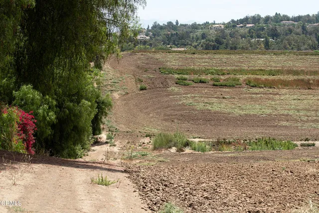 $9,800,000 | 5624 Beardsley Road, Camarillo, CA 93010