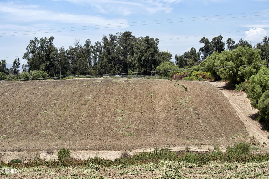 5624 Beardsley Road Camarillo, CA 93010 - Photo 14 of 27 DSC_8658