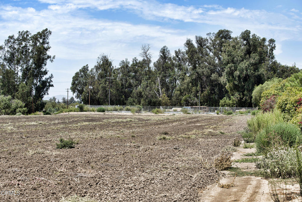 5624 Beardsley Road Camarillo, CA 93010 - Photo 15 of 27 DSC_8662