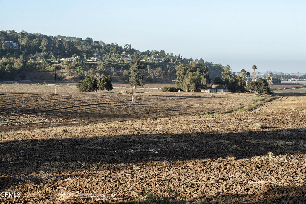 5624 Beardsley Road Camarillo, CA 93010 - Photo 17 of 27 DSC_8702
