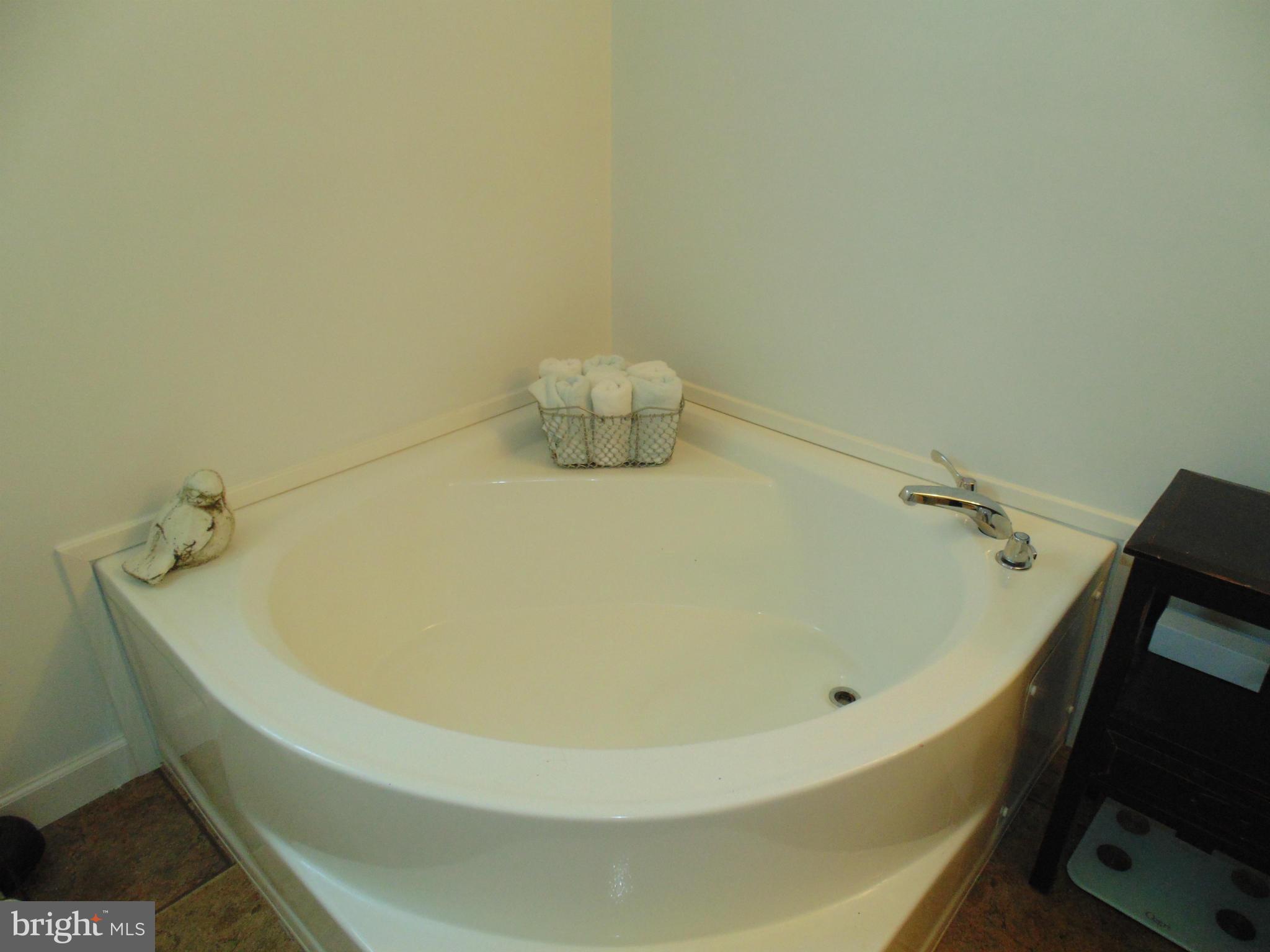 7810 Clark Road, Unit D67 Jessup, MD 20794 - Photo 10 of 15 Master Bath Corner Tub