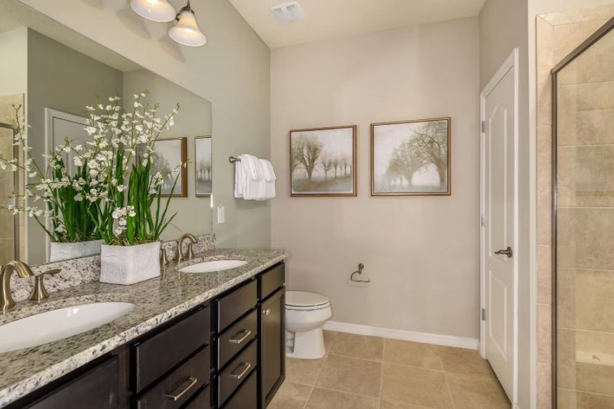 2920 Eckersley Drive Murfreesboro, TN 37128 - Photo 7 of 9 a bathroom with a granite countertop sink a toilet and mirror