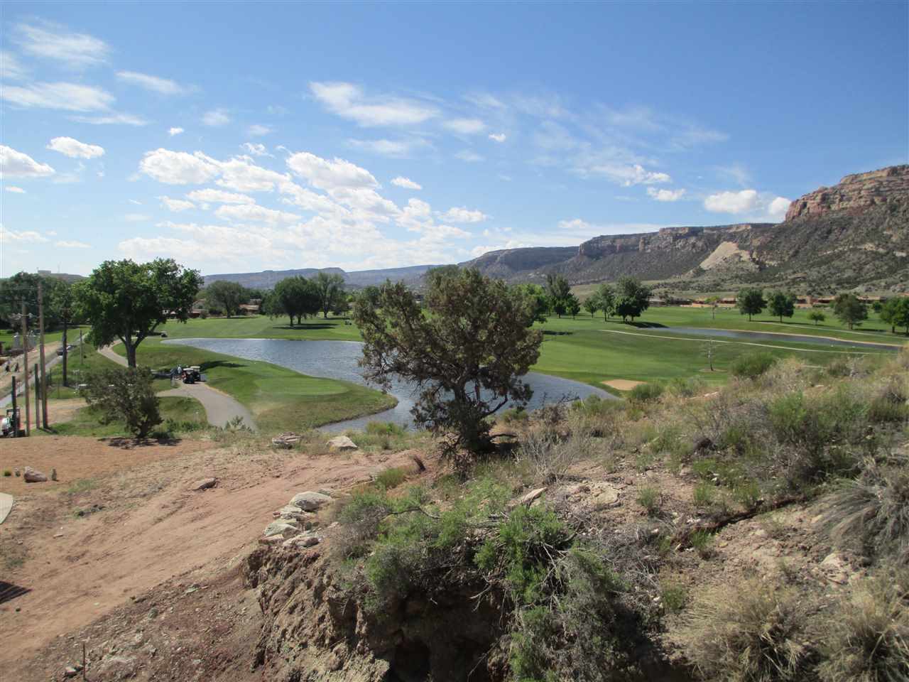 491 Tiara Rado Court Grand Junction, CO 81507 - Photo 8 of 27 Gallery Image 8