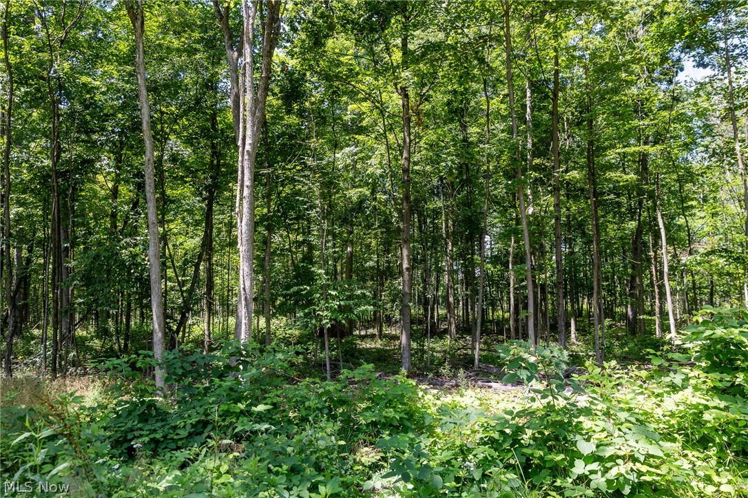 Wayland Road Diamond, OH 44412 - Photo 13 of 20