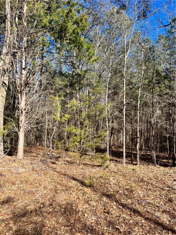 0 Robinson Road Belton, SC 29627 - Photo 1 of 6