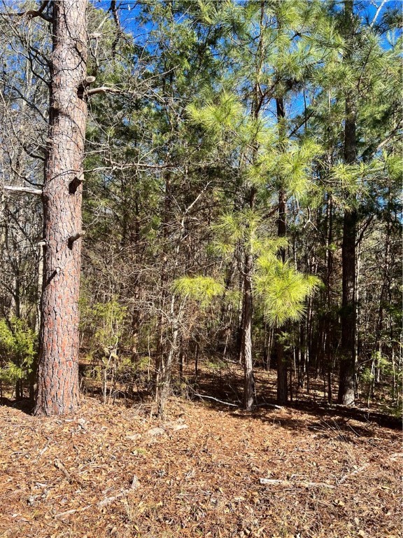 0 Robinson Road Belton, SC 29627 - Photo 2 of 6