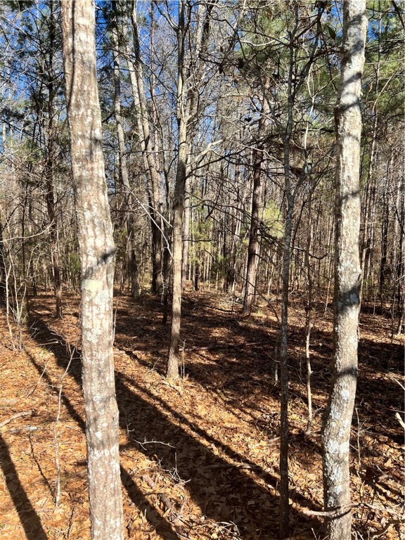 0 Robinson Road Belton, SC 29627 - Photo 3 of 6