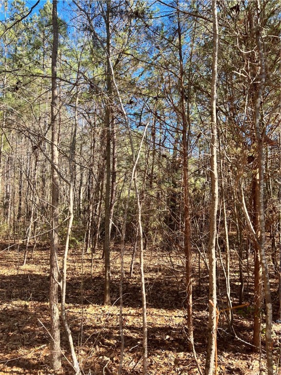 0 Robinson Road Belton, SC 29627 - Photo 4 of 6