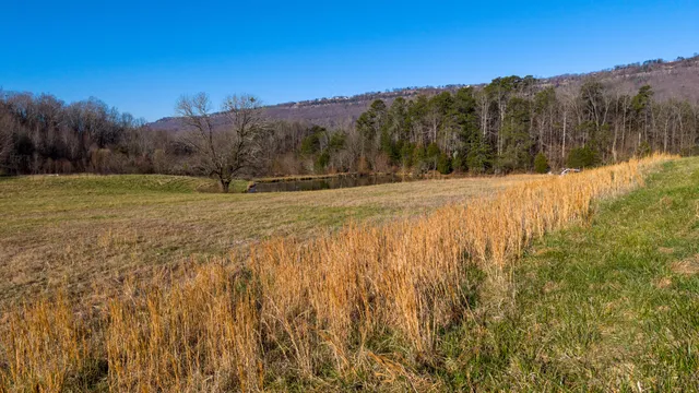 $1,500,000 | 4975 Browntown Road, Chattanooga, TN 37415