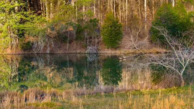 $1,500,000 | 4975 Browntown Road, Chattanooga, TN 37415